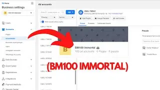 Immortal BM100: Facebook Immortal Business Manager Has 100 Ads Accounts | Zombie BM