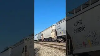 CPKC 134 with BNSF. Killean, Ontario.