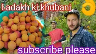 Ladakh khubani New video #youtube# new#video #viral #ladakhs👌👌👌