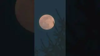 DATC part iii - Bad Moon Rising, creepy vibes #shortfilm #thriller #youtube