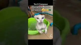 #коьы