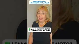 🐬 КАК общаться с детьми❓ УЧАТ ДЕЛЬФИНЫ 🐬#ТатьянаБокова