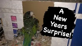 Snapple Has A Big Surprise | Tuesday Vlog