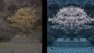 Photoshop'ta Kızılötesi Efekti