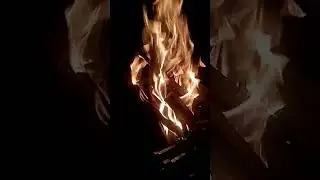 30 июня 2024 г.