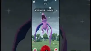 Hatch Shiny Pokemon and EGGS on Pokemon Go!