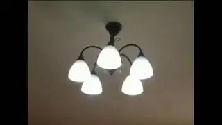 Новый проект2