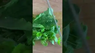 Салат из подорожника и мокрицы - вкусная защита от страшных болезней #дикоросы #рецепт