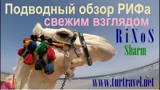 rixos sharm el sheikh youtube