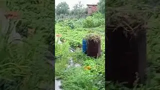 дождь работать не даёт