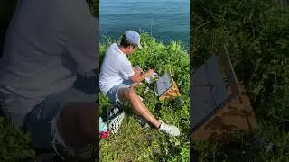 Мыс зеленый Маяк