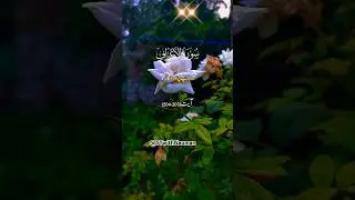 Surah Ahraaf #shortvideo #shortsvideo #gilgit #quran #quranrecitation #love #urdu #qurantranlation