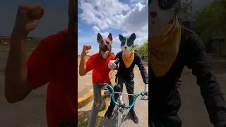 Firulais enseña a michi andar en Bicicleta 