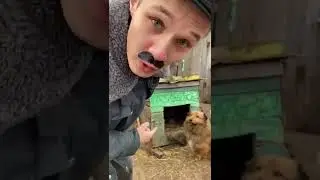 БАТЁК И ПРИКОЛ С КУРИЦЕЙ...