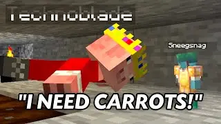 Technoblade Begging For Carrots For 11 Minutes!