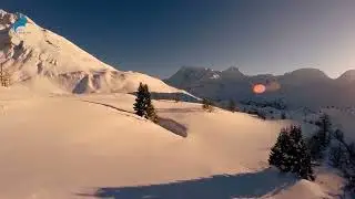 Умайр ибн Саад