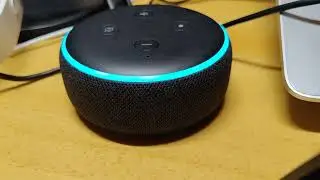 Alexaくんご乱心