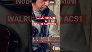 Walrus Audio ACS1 & Nobels ODR-Mini 