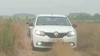 мо дар тюмен 2022