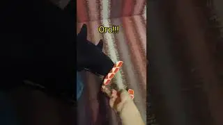 #humor