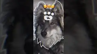 пж не судите строго я старалась!!