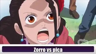 pertarungan zorro setelah timeskip