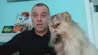 Прилет российских ракет по Белгороду