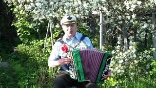 Купавушка