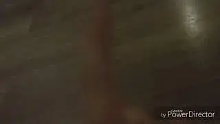 Мальчики  и  девочки  никогда  не  пирете   нож  в   школу