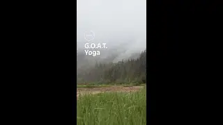 G.O.A.T. Modes™ Yoga: Ford Bronco® Raptor®