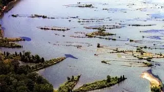 Забытая инженерия (Призрачный флот Мальва-Бэй)