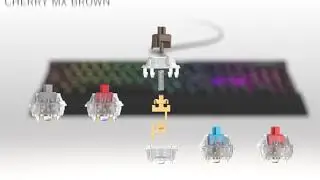 Cherry MX Switches || Which One Do You Prefer ?
