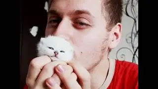 Парень целует котенка