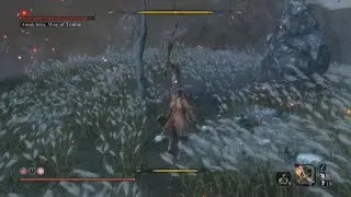 Sekiro genichiro final boss