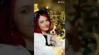 ловите видосик!