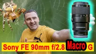 Обзор Sony FE 90mm F2.8 Macro — лучший макро- и портретный объектив?