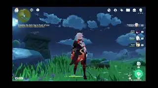 {RESSOLVED} 2.6 Genshin grass bug