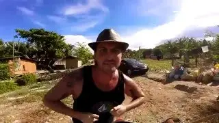 Becoming Local (Chicken)