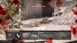 Battlefield 4 hacker caught: BananaBagnata19