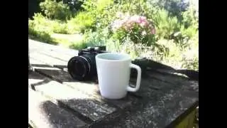 A blissful morning!