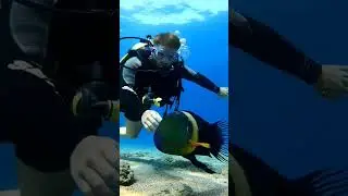 #ейлат#дайвинг