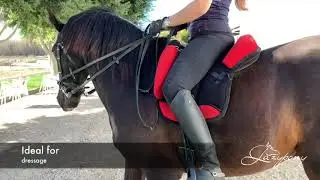 Lazypony's Bareback Pad Dressage