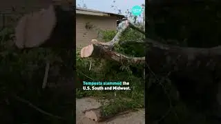 Powerful storms devastate American South, Midwest 