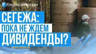 Сегежа: пока не ждем дивиденды?