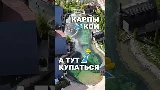 Создание пруда для купания и карпов кои. Плавательный пруд с прозрачной водой для базы отдыха 