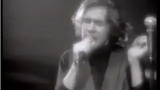 Hothouse Flowers - Love Don't Work This Way