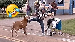 Best Funny Videos🤣 Try Not To Laugh🤣 Funny & Hilarious People's Life 😂 #56