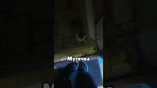 Муся не пускает домой Автор: dudubova