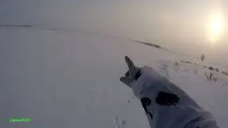 Охота на лис: мазила.