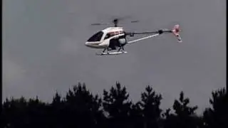 JR Ergo Z230 Gasser R/C Helicopter - First Flight